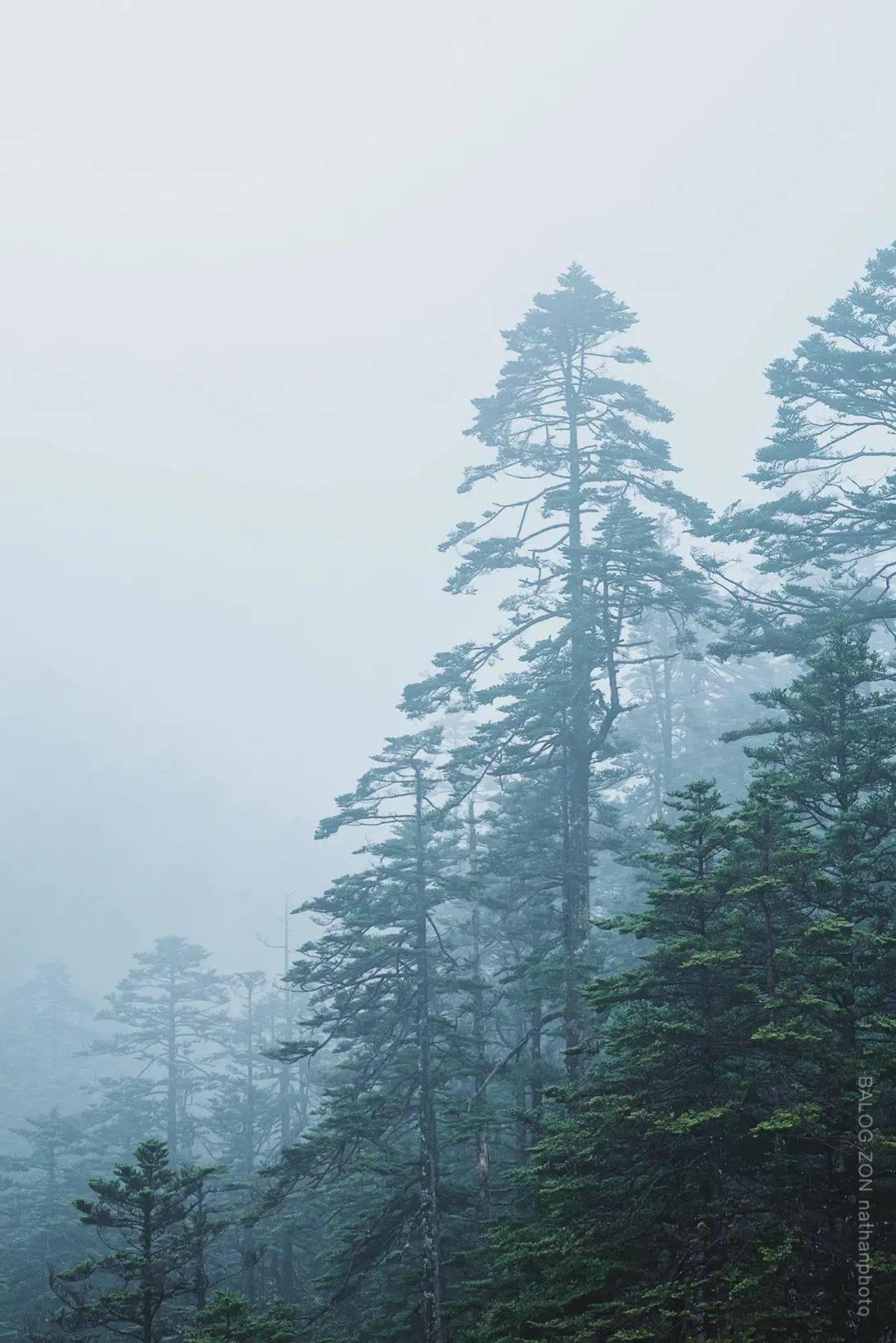 探索怎样才能知道什么注定是自己的什么不是自己的 遇见什么是对的 遇见什么是错的? —— 专属知识星球平台
